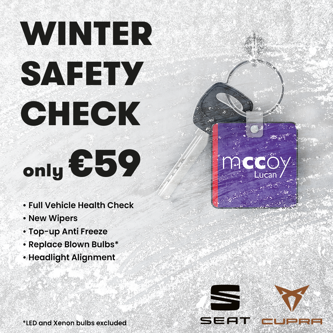 Get a winter checkover on your car for only â‚¬59!